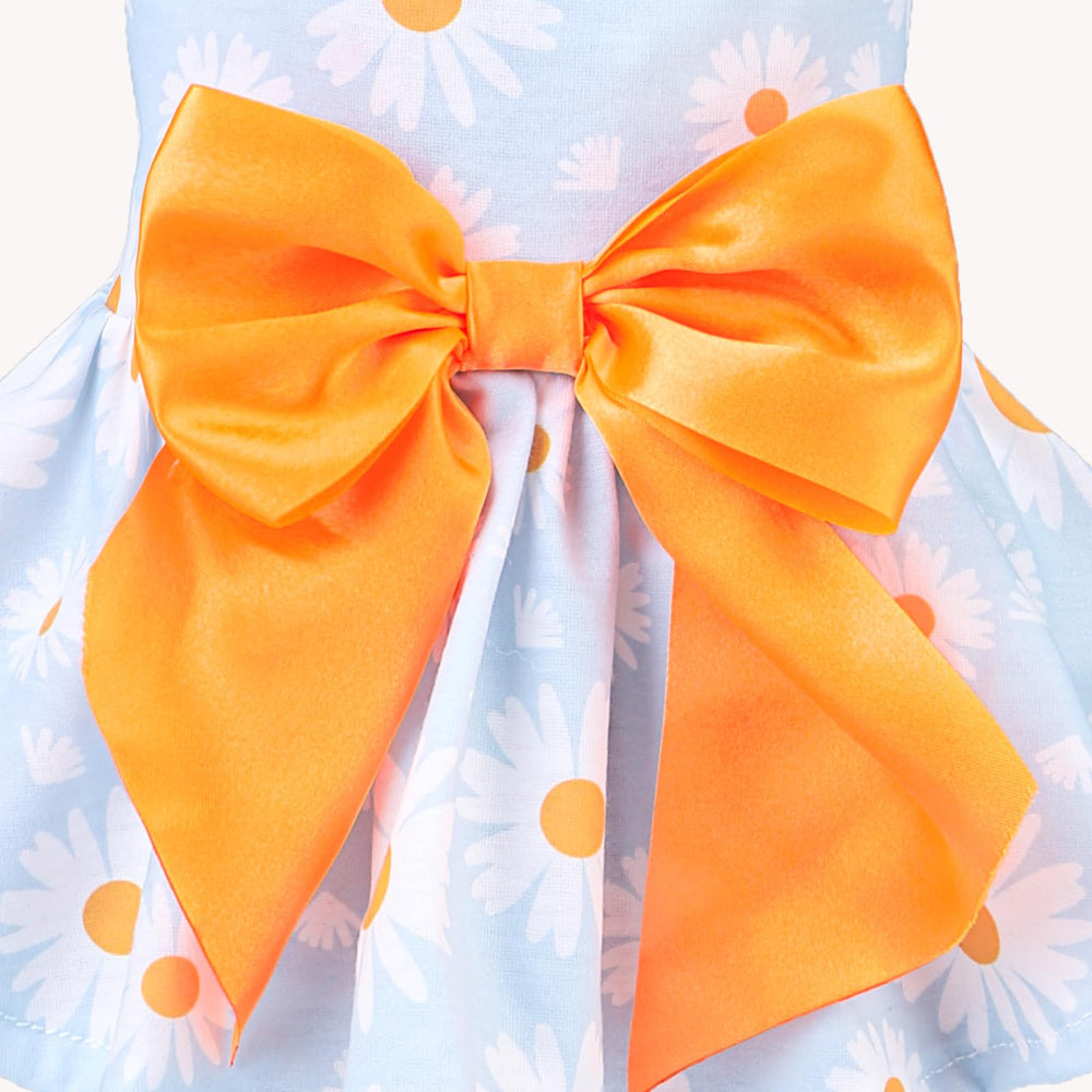 Diseño plaid de PUPTECK para perro pequeño, cómodo y seguro.