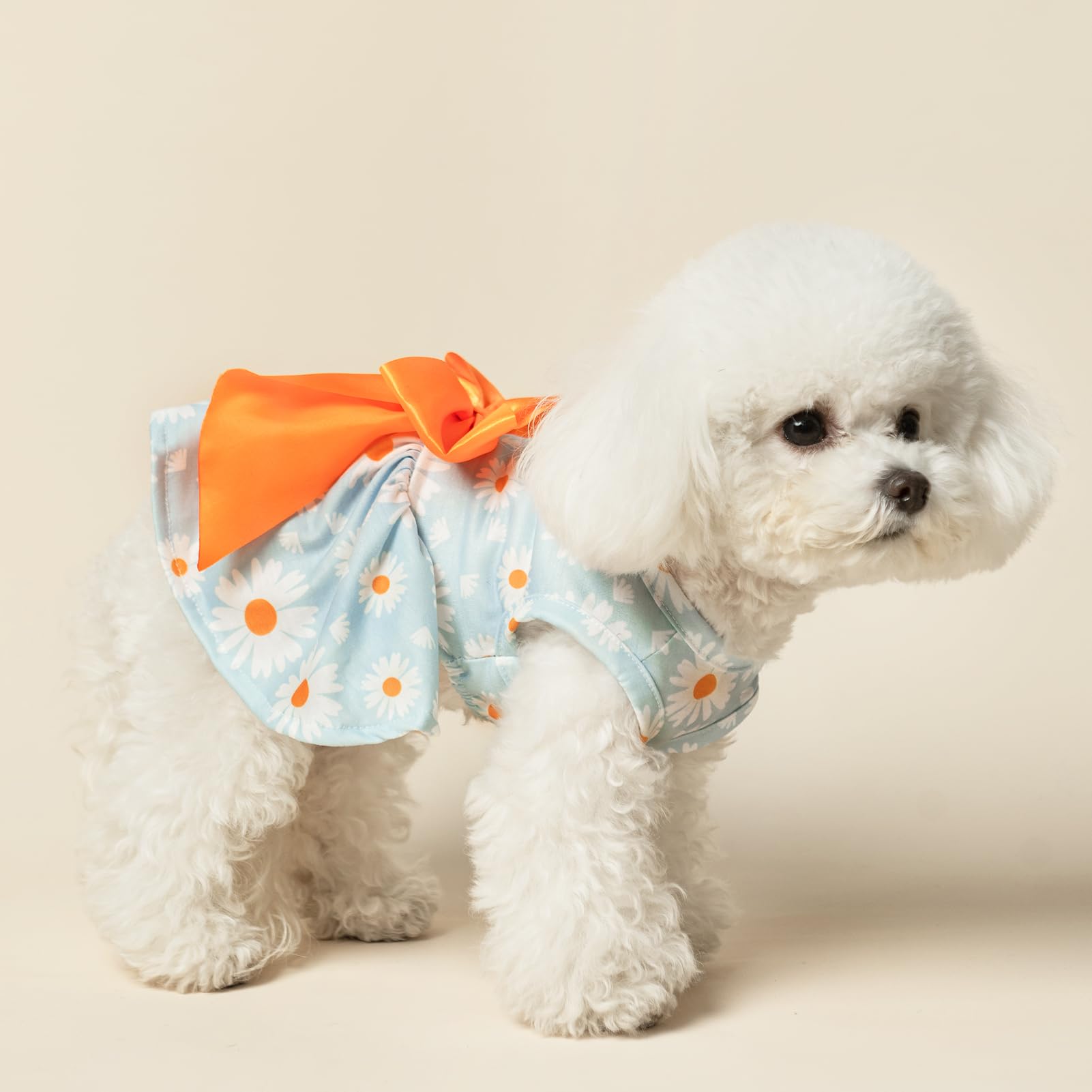 Vestido de primavera PUPTECK para perrito, bonito para fotos.