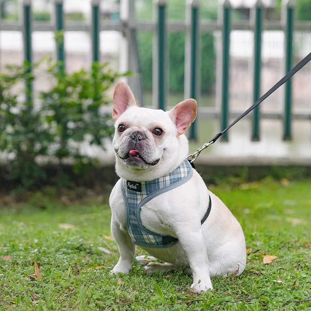 Pupt-eck four-season harness maintains comfort in varying weather