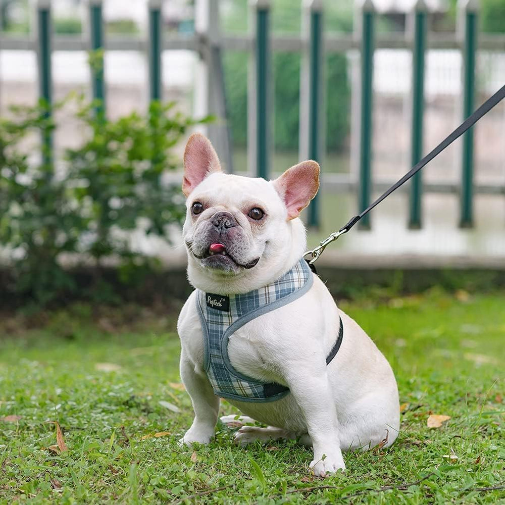 Pupt-eck four-season harness maintains comfort in varying weather