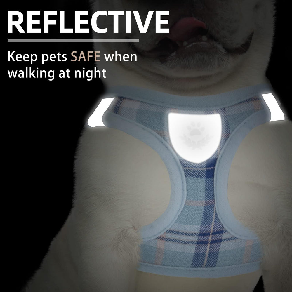PUPTECK harness close-up on strap closure for easy step-in wear