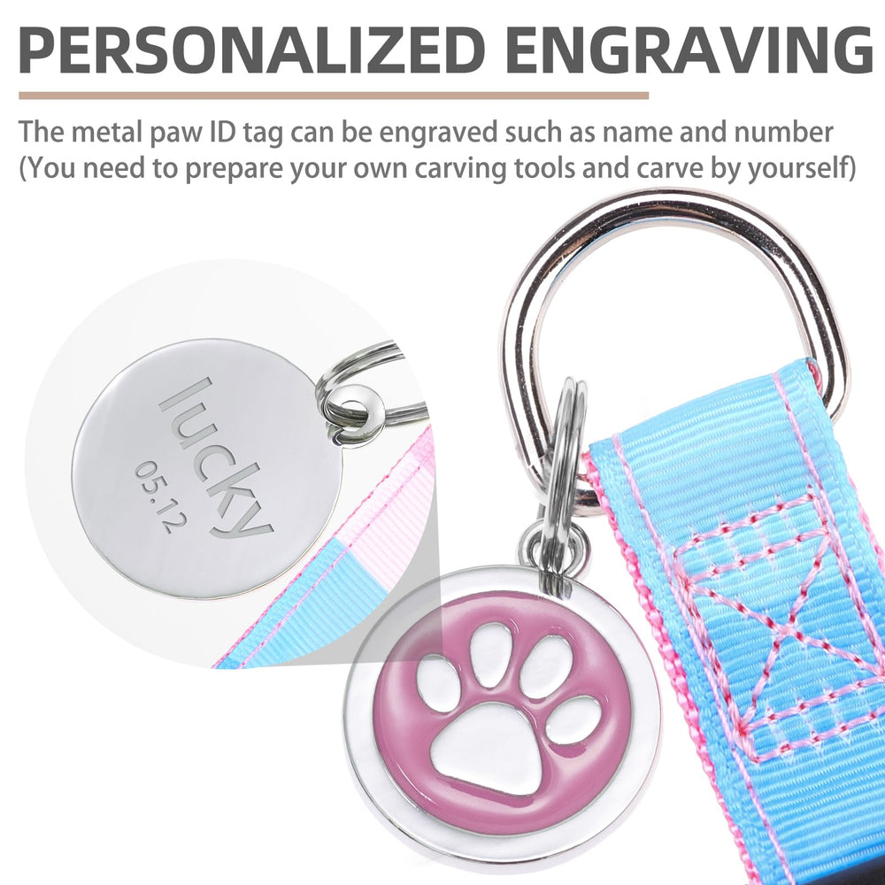 PUPTECK ID tag with DIY engraving adds personalization for pet identification.