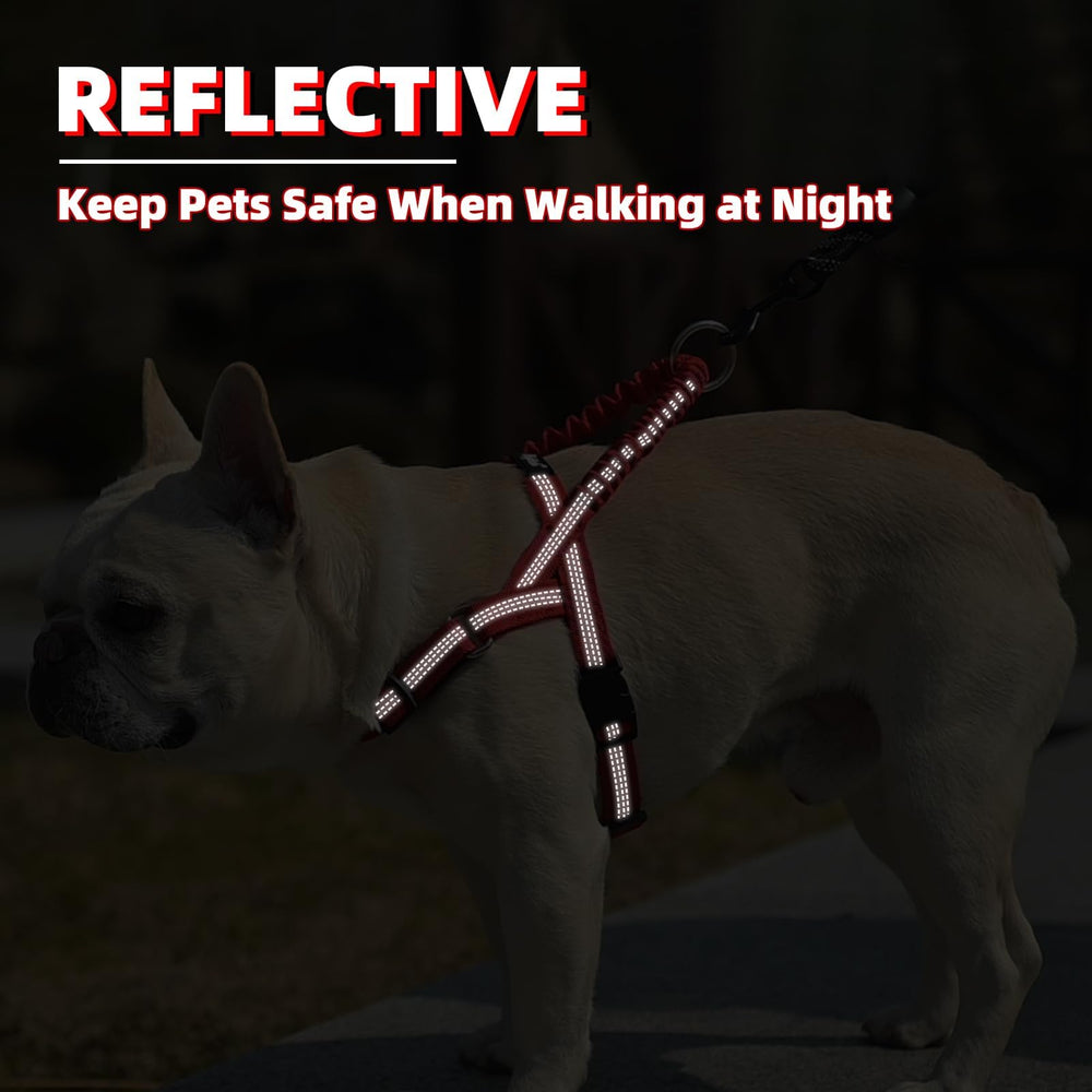 PUPTECK Large dog wearing red harness during outdoor training session