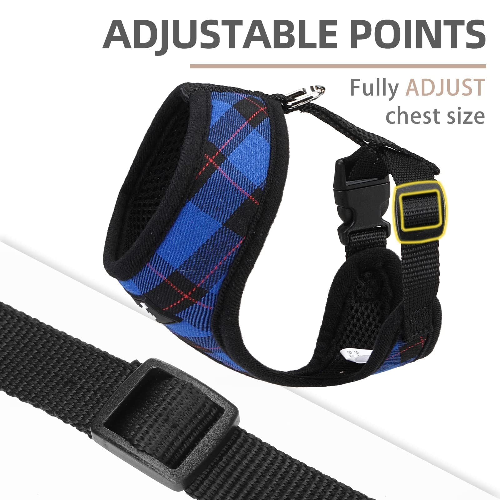 PUPTECK leash Navy blue attachment for reliable control