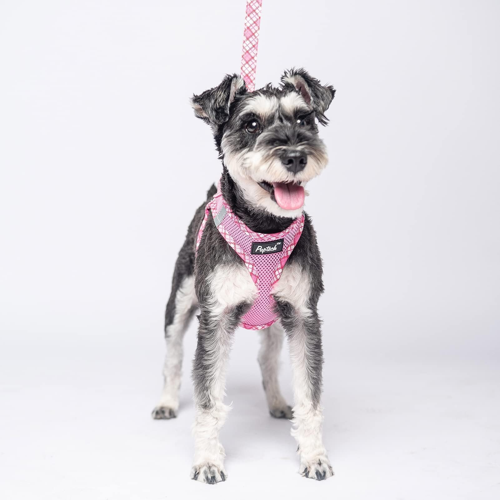 PUPTECK dog leash set complements harness for safe outings.