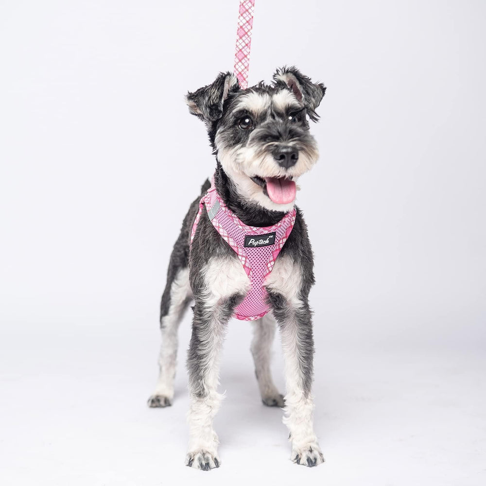 PUPTECK dog leash set complements harness for safe outings.
