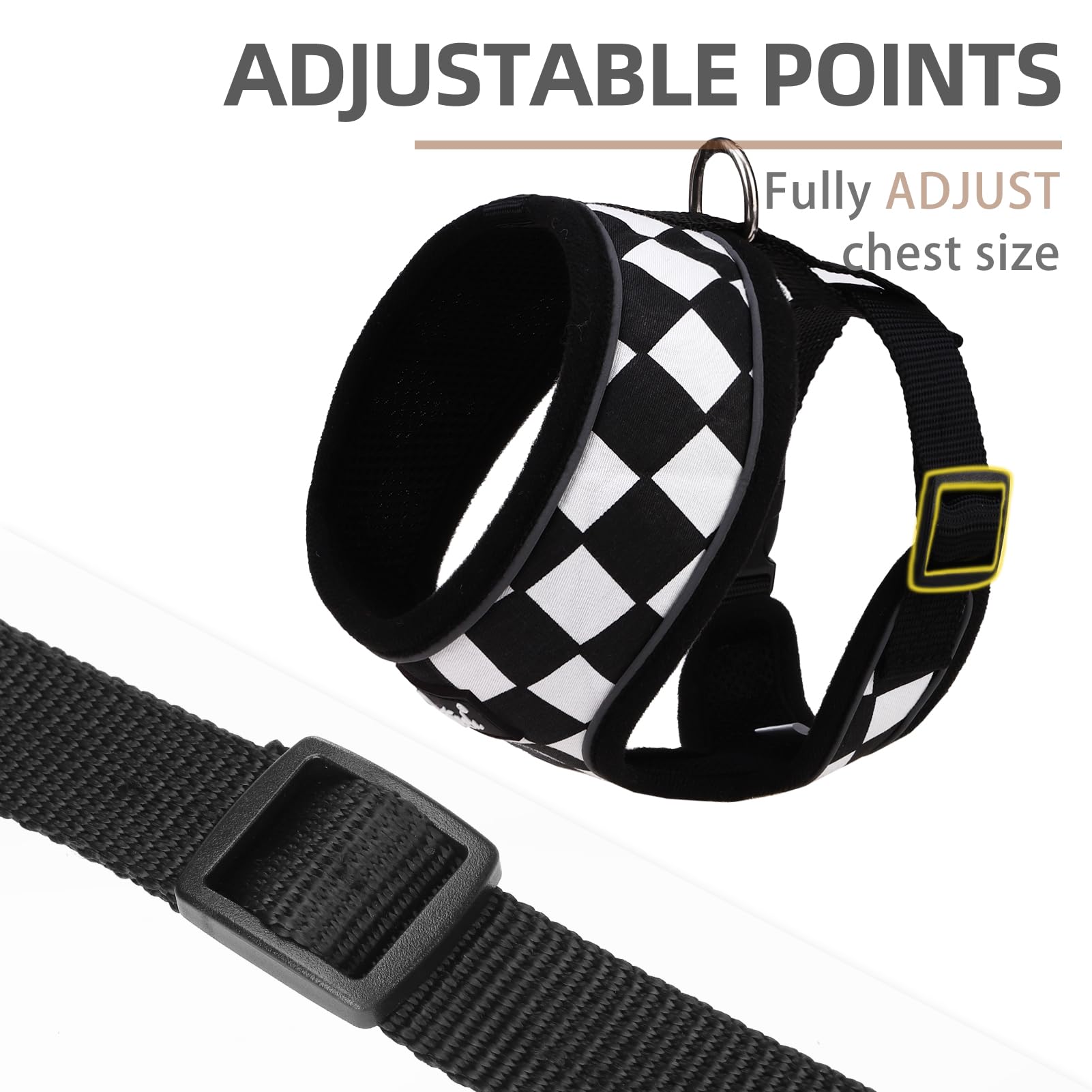 PUPTECK leash set detail emphasizes sturdy D-ring and secure quick-release buckle.