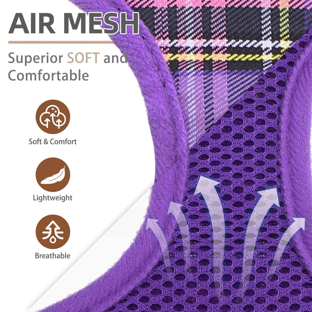 PUPTECK leash set purple M easy-clip for quick on/off