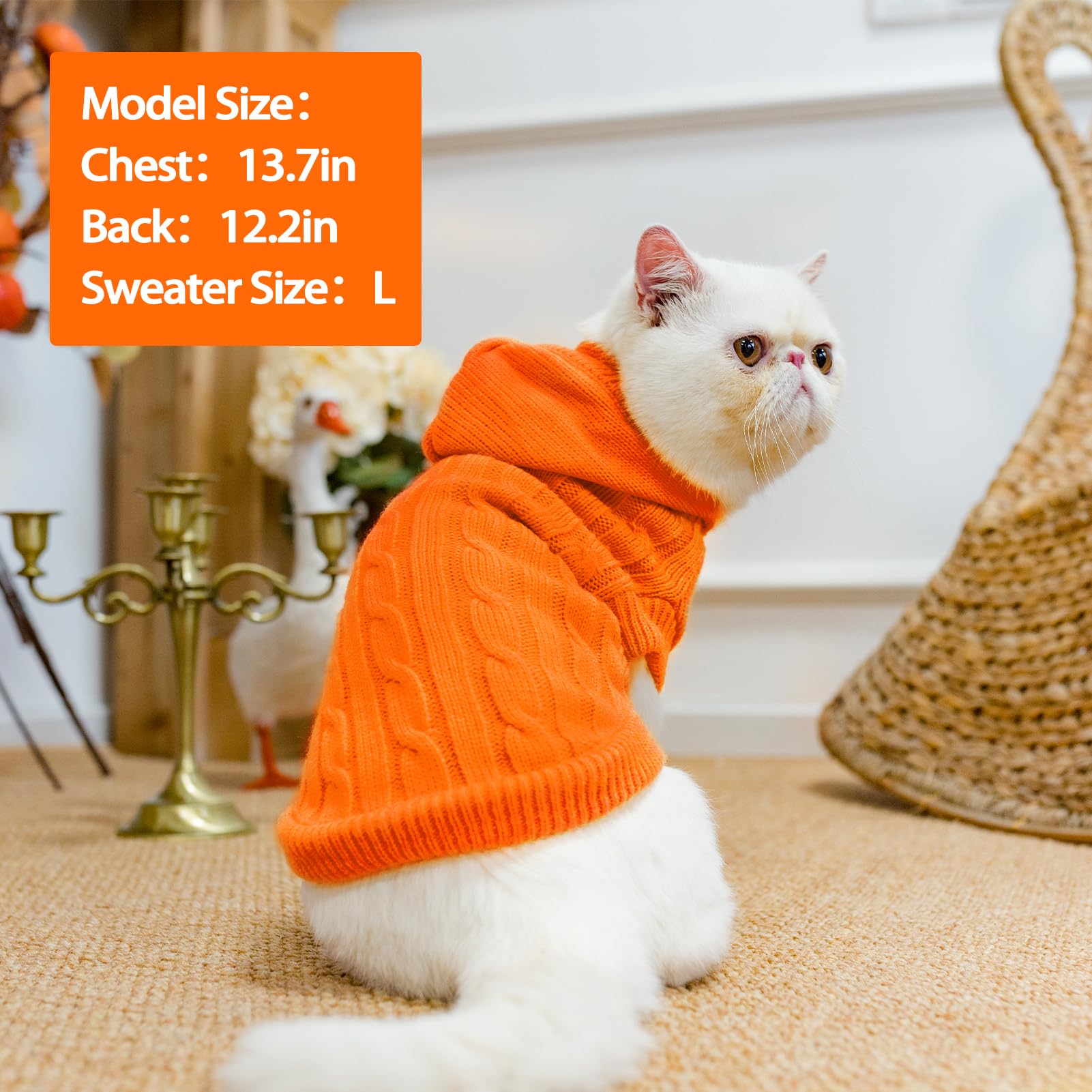 PUPTECK machine-washable fabric simplifies post-walk cleaning.