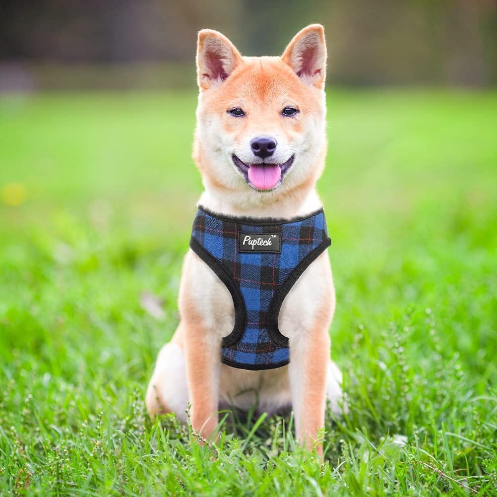 PUPTECK metal D-ring connects to leash for secure control