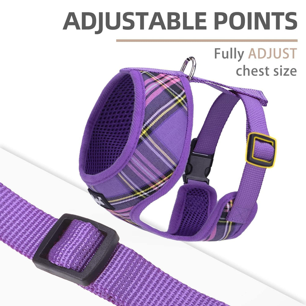 PUPTECK plaid-pattern detail adds stylish daily-walk appeal