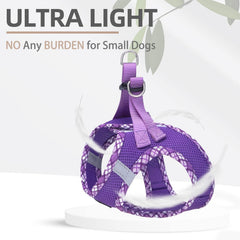 PUPTECK reflective night-safety harness improves visibility at dusk