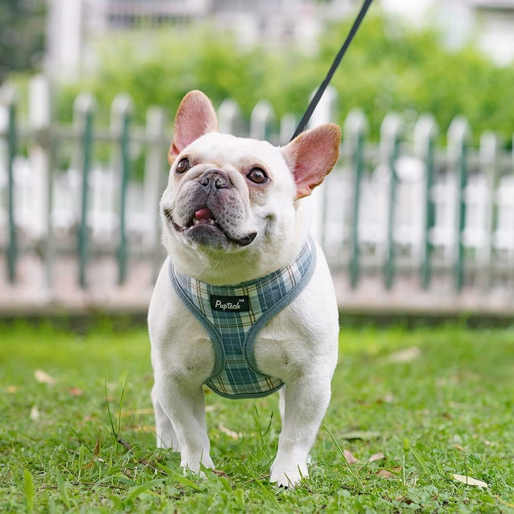 Pupt-eck size-chart guided adjustable harness ensures snug fit