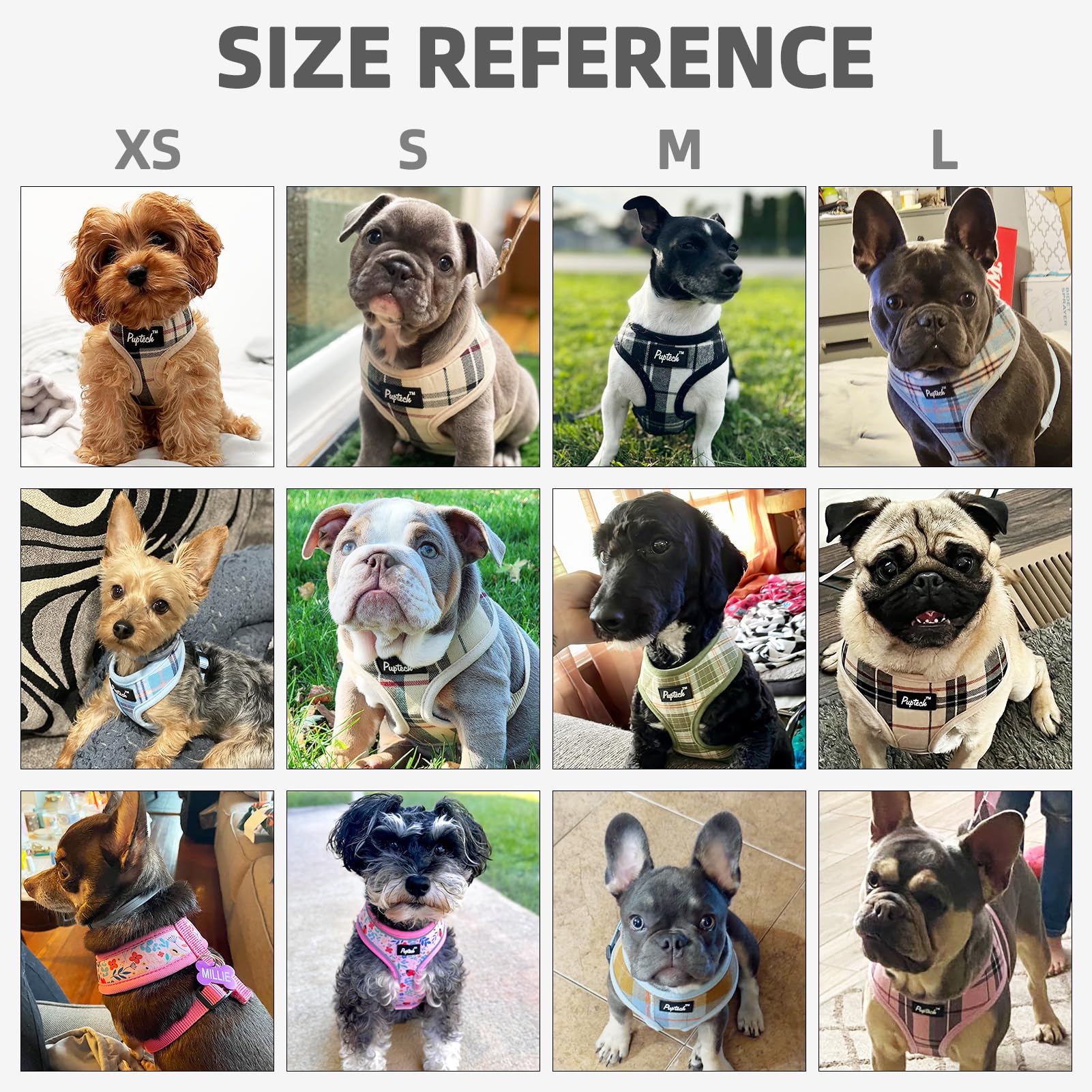 PUPTECK size chart guide helps choose the right fit