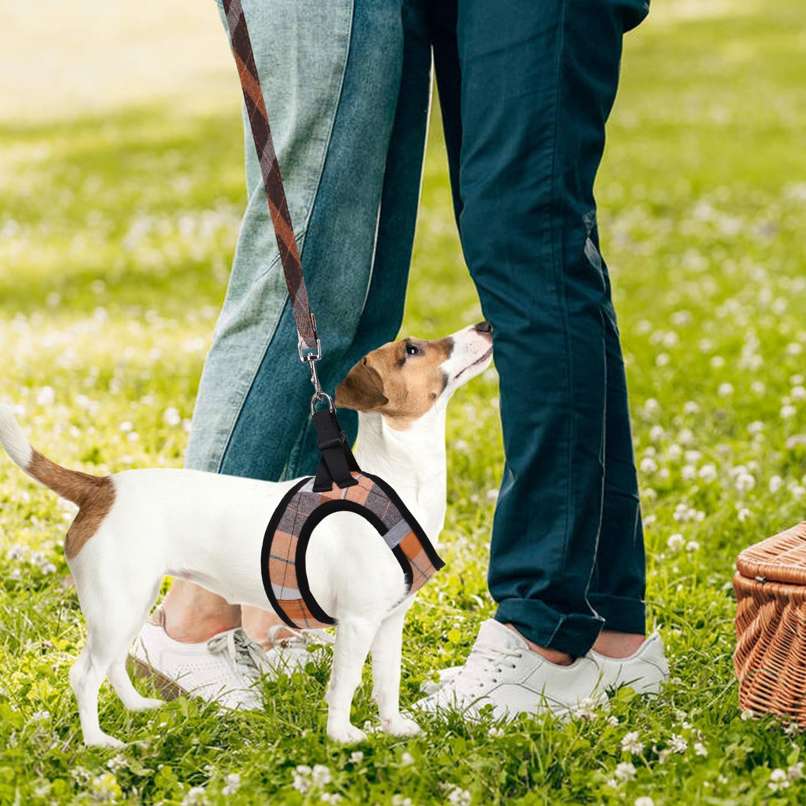 PUPTECK size guide and measurements for accurate harness fit