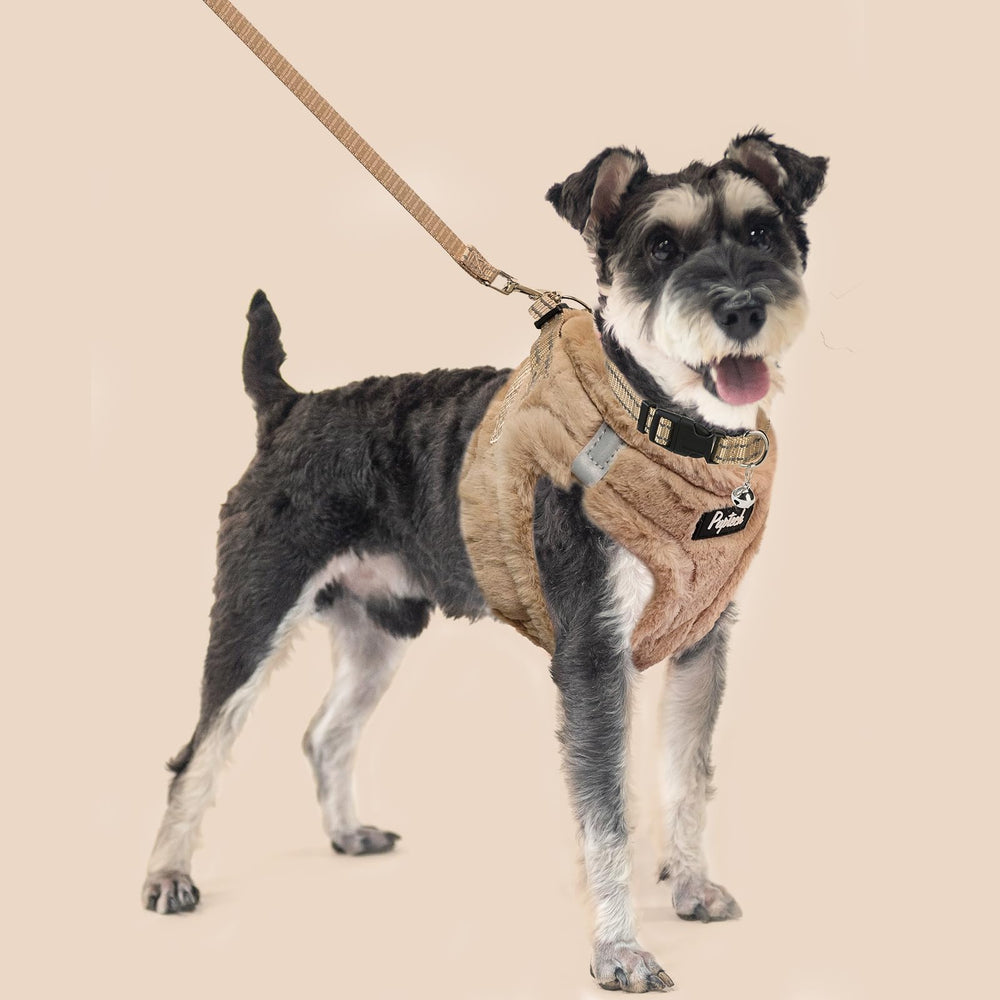 PUPTECK size M fits chests 16-18 inches for small to medium dogs.