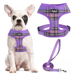 PUPTECK soft mesh harness purple M front view for daily walks