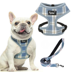 Pupt-eck soft mesh harness in sky blue for breathable daily comfort