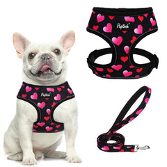 PUPTECK soft mesh harness front view emphasizes breathable comfort for daily walks