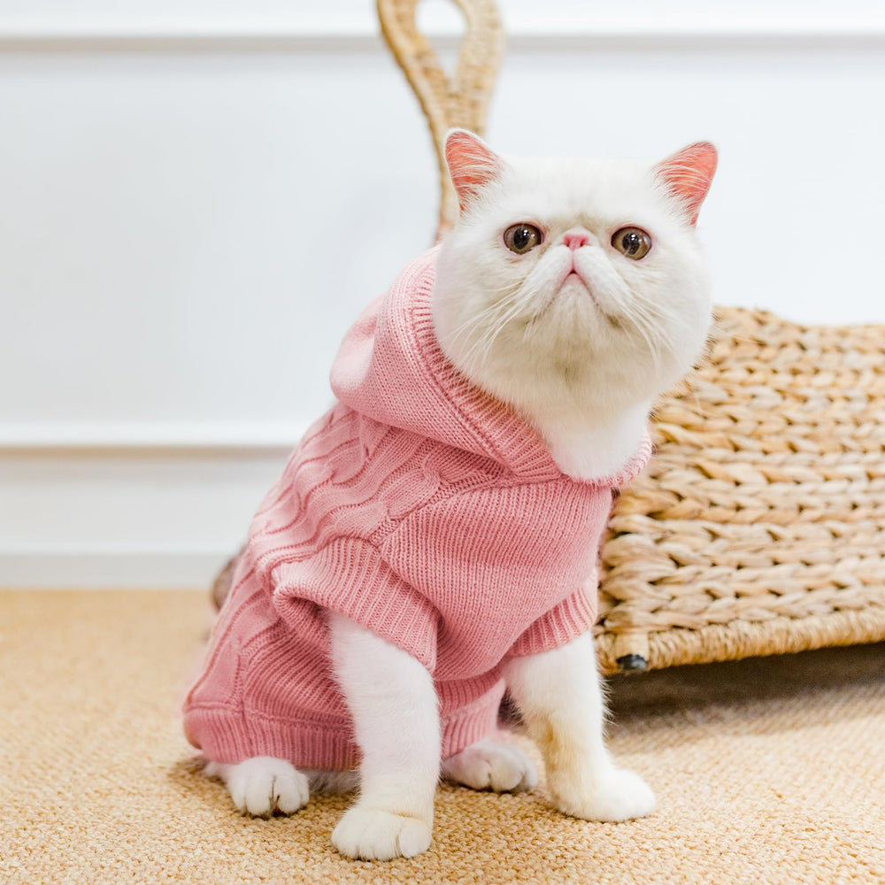 PUPTECK sweater care shot illustrates machine washability and flat-dry care