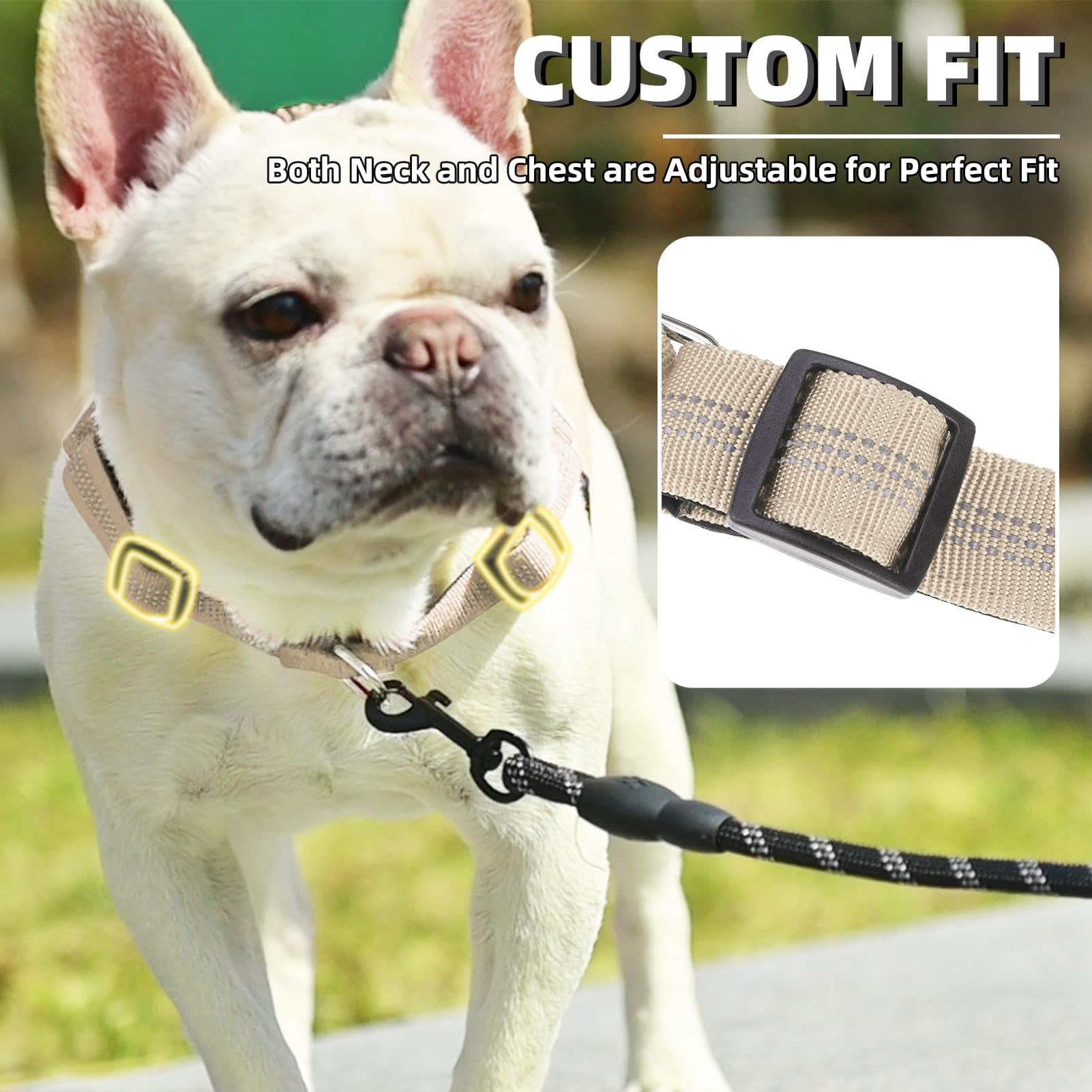 Puptack bungee handle reduces tension during controlled walking