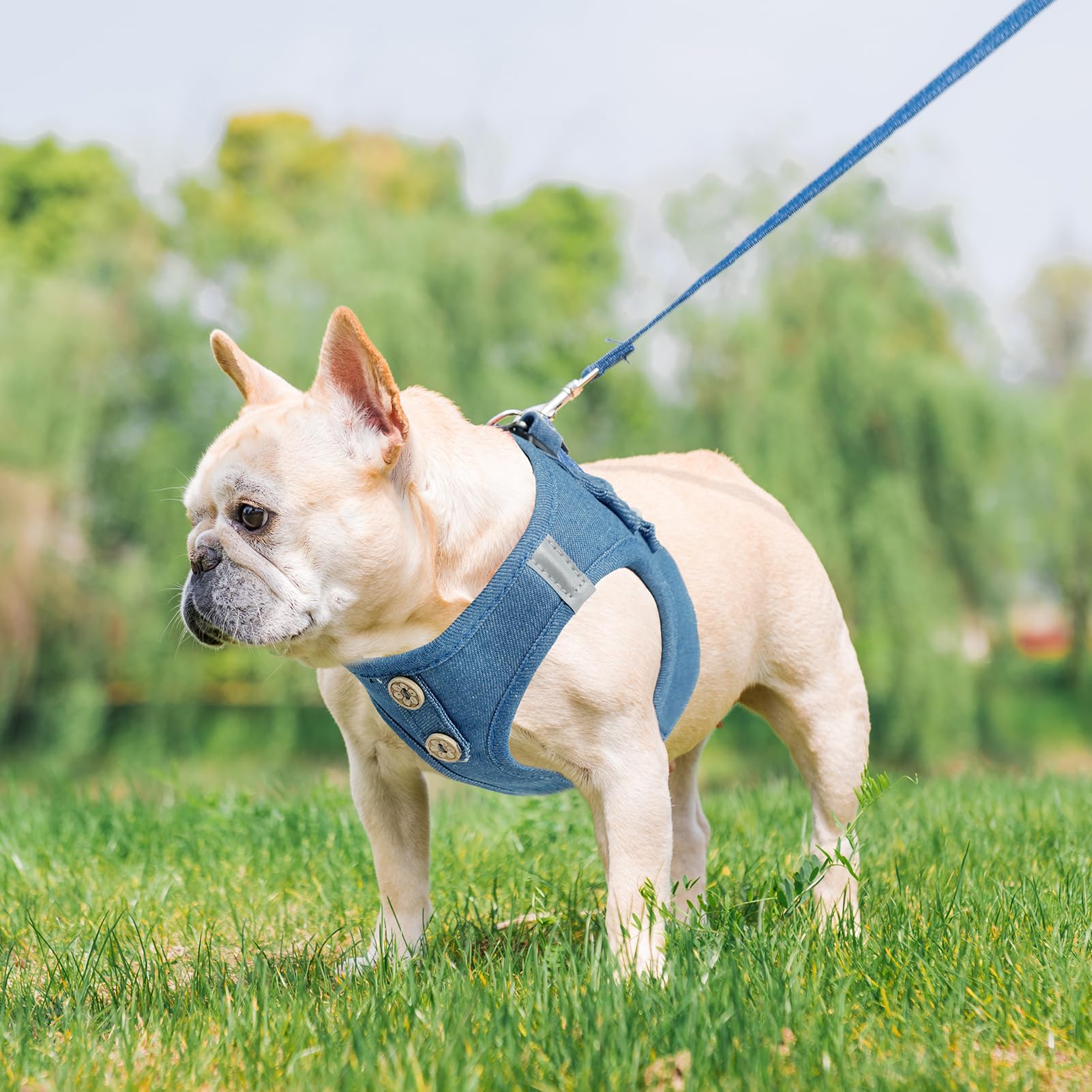 PUPTECK denim steelblue harness fits small dogs securely