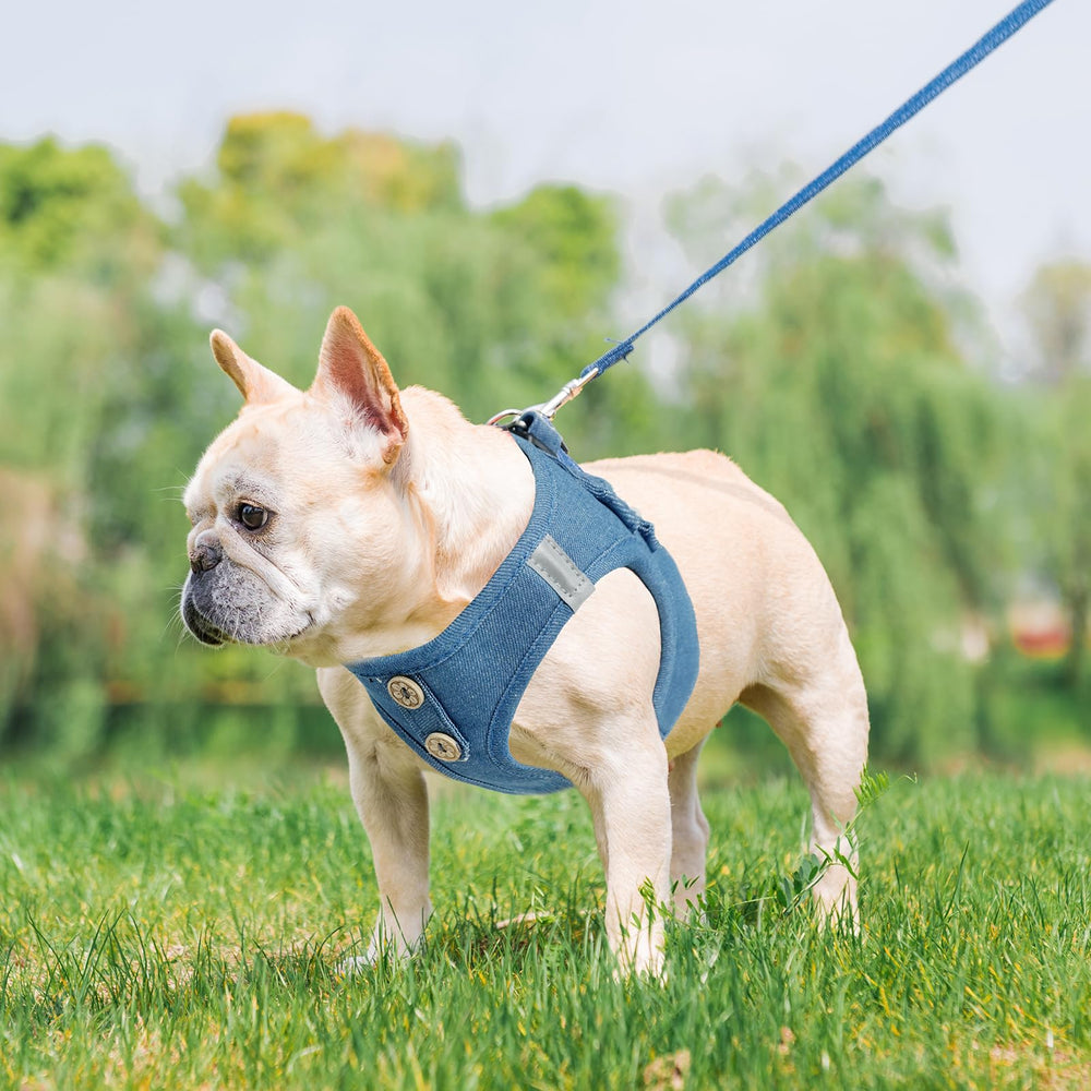PUPTECK denim steelblue harness fits small dogs securely