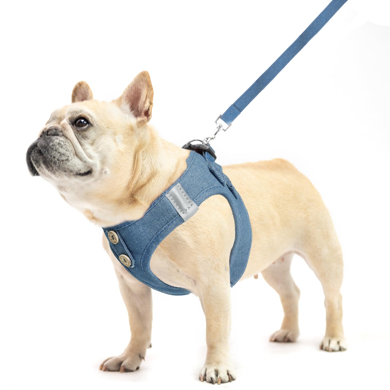 PUPTECK dog harness step-in design for easy on/off