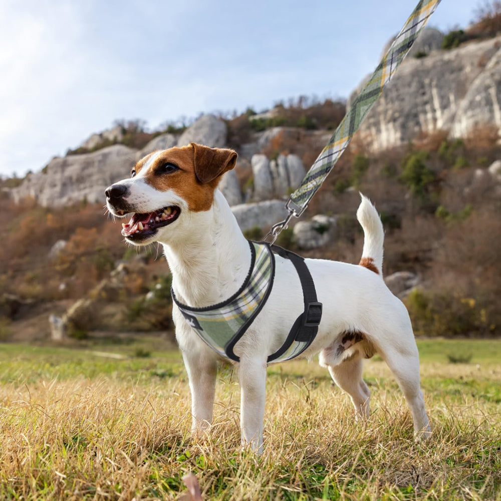 PUPTECK XS size chart illustration helps precise fitting for small pets