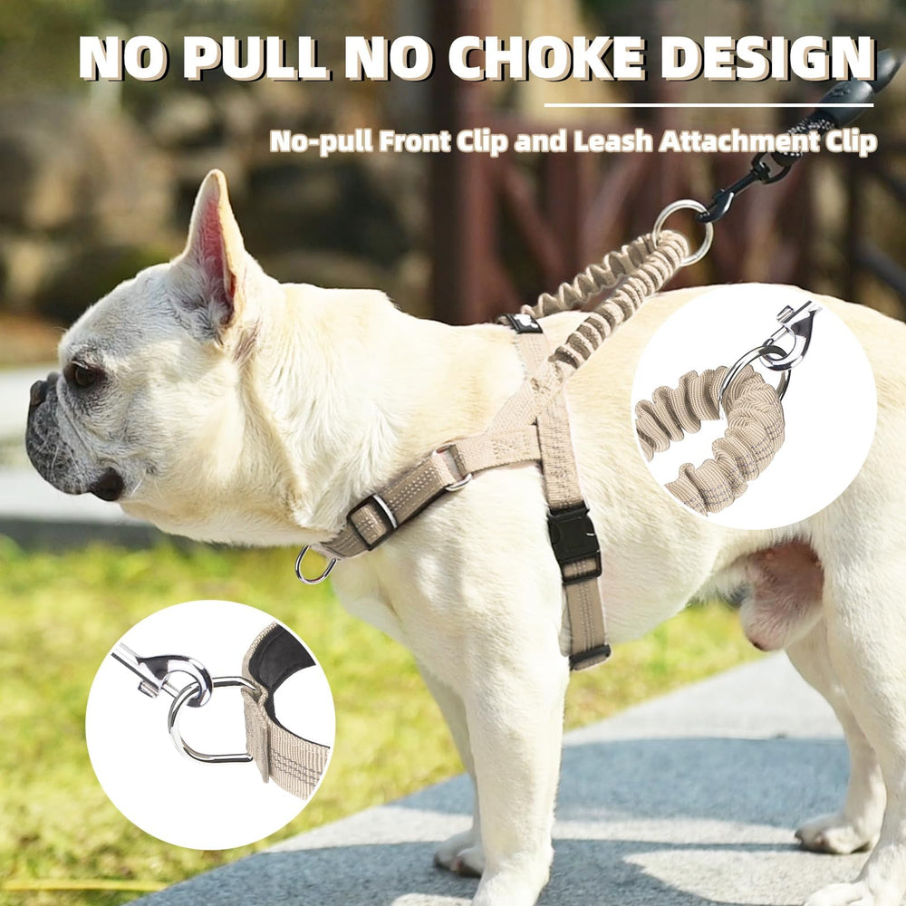 Puptack no-pull harness front clip easing leash training