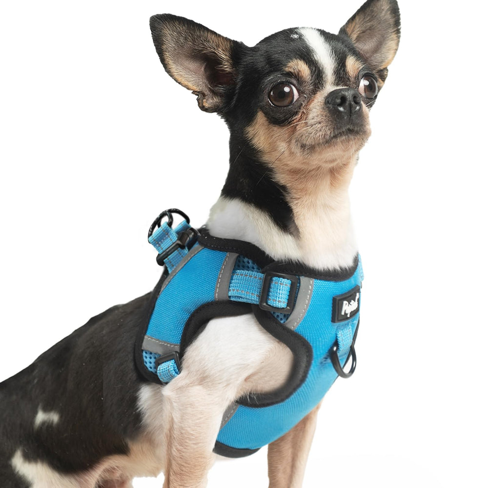 Arnés Puptech sin tirar azul (frente) para paseos suaves y controlados.