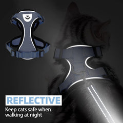 PUPTECK reflective strips on harness boost visibility for dusk outdoor use