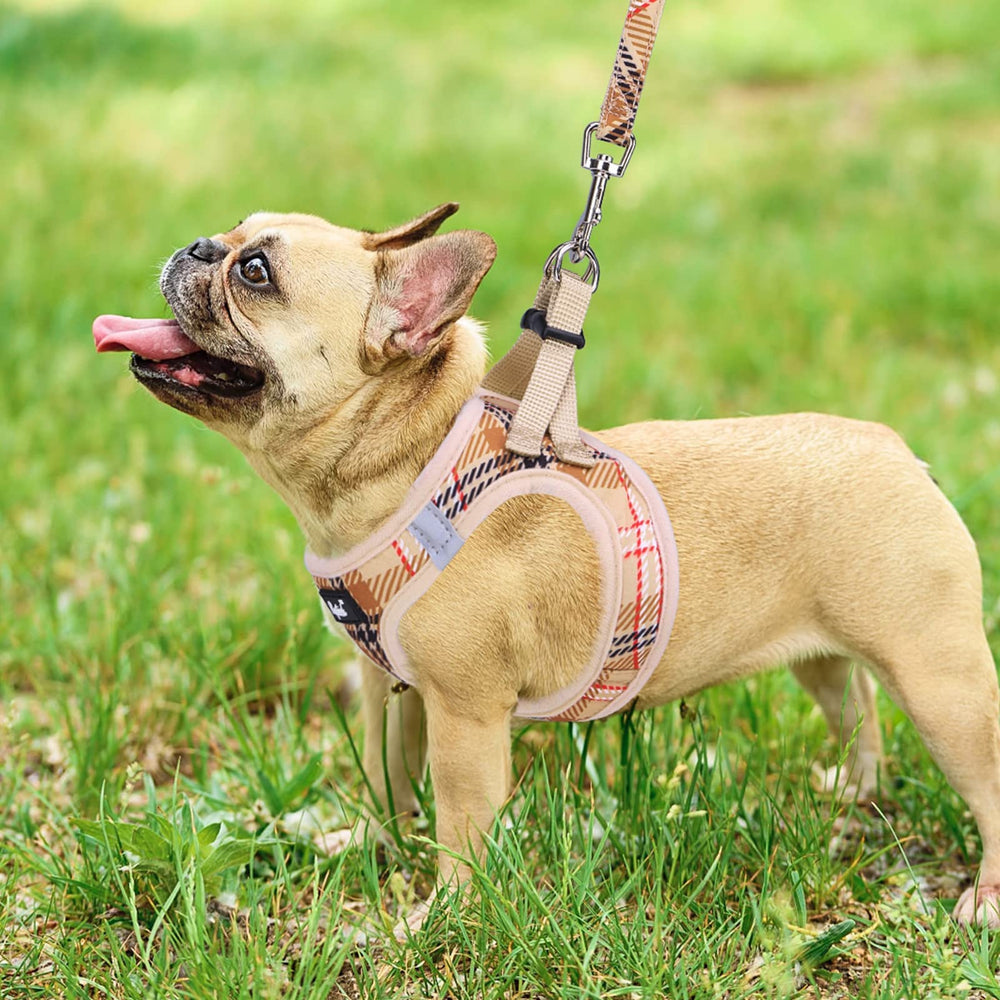 PUPTECK diseño plaid beige, estética suave para salidas diarias