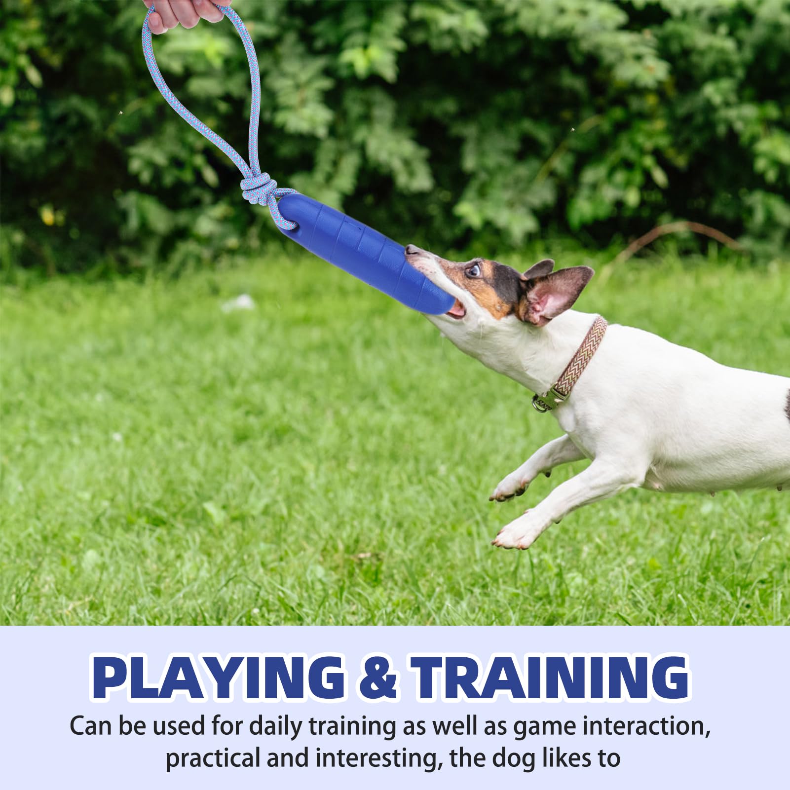 PUPTECK bright-color dog pool toy aids outdoor visibility during play.