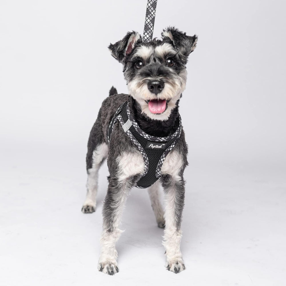 PUPTECK harness and leash set provides secure control for daily walks.