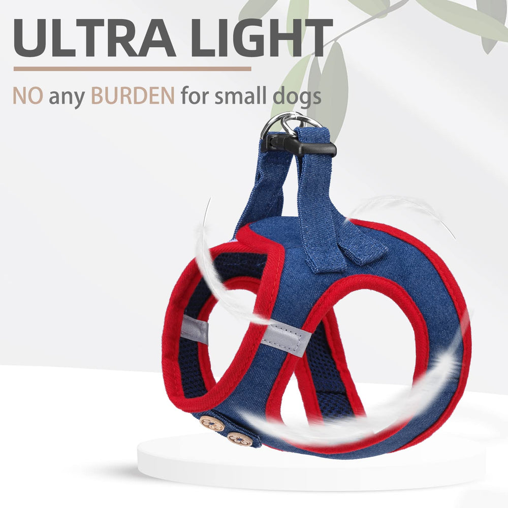PUPTECK leash set pairs with harness for controlled, balanced walking