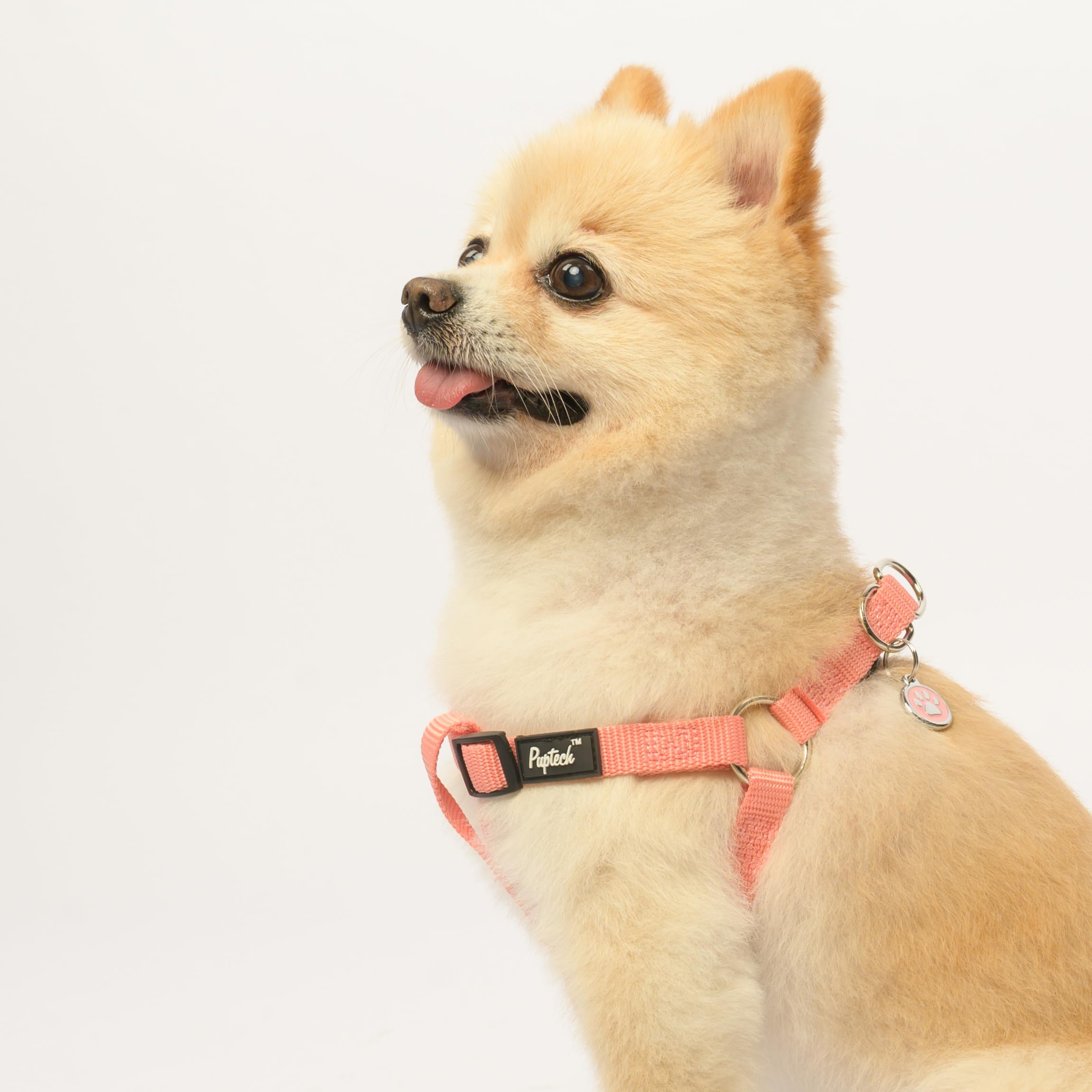 PUPTECK No Pull Harness adjustable straps for a snug fit.