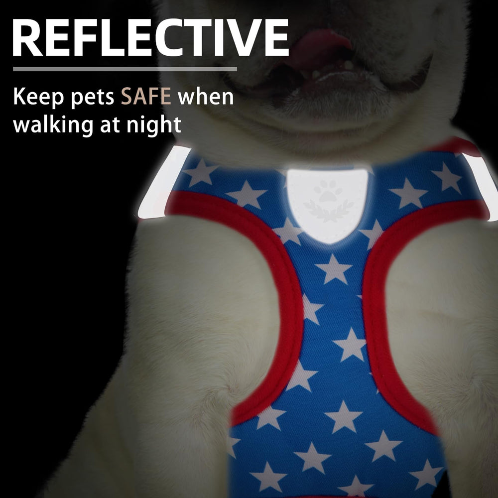 PUPTECK reflective straps visible at night for safer evening strolls
