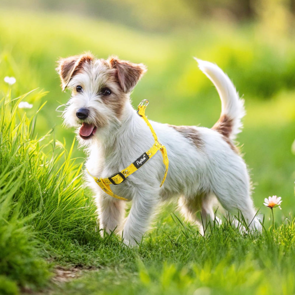 PUPTECK Size guide chest measurements helps select the right fit.