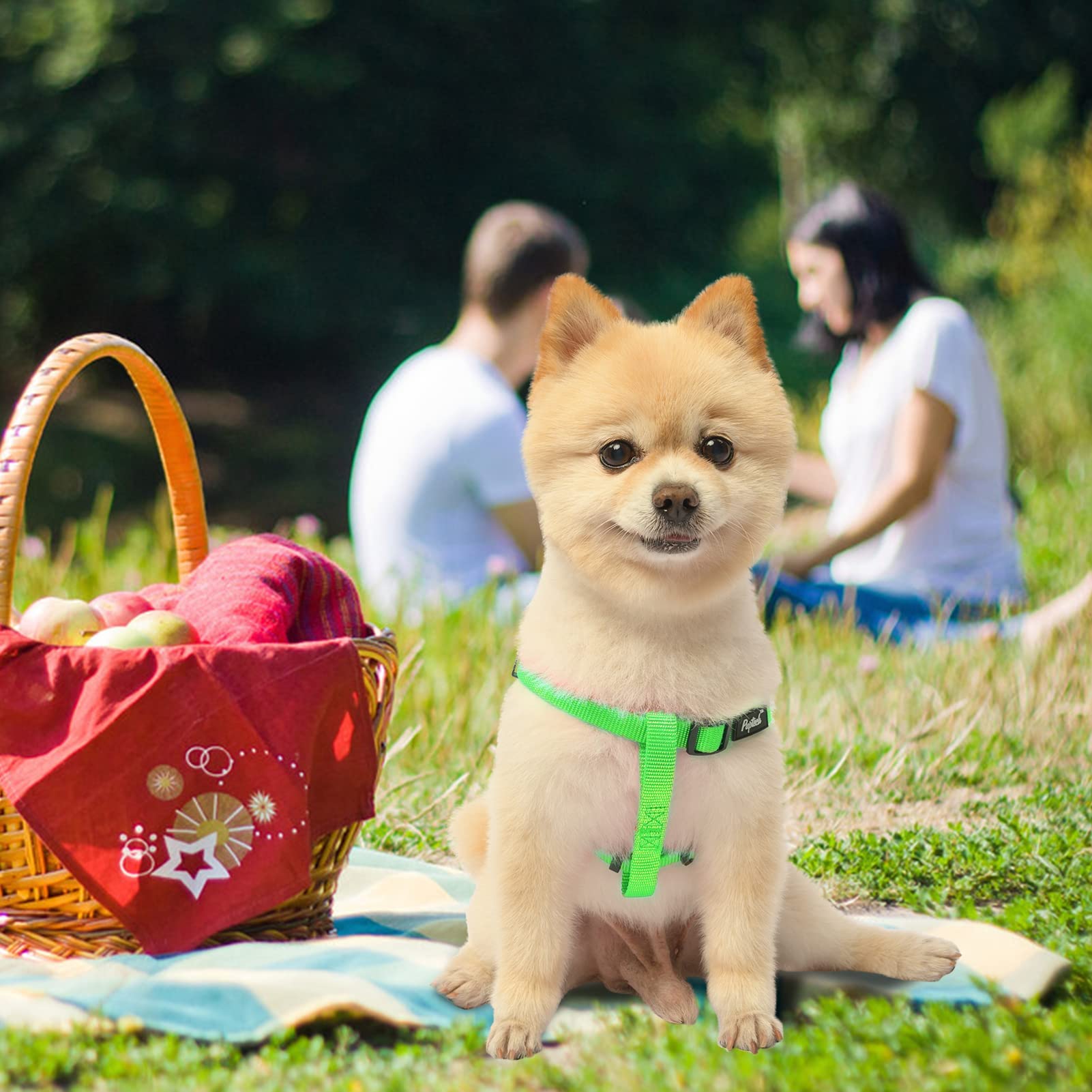 PUPTECK Green Harness with size guide supports different breeds.