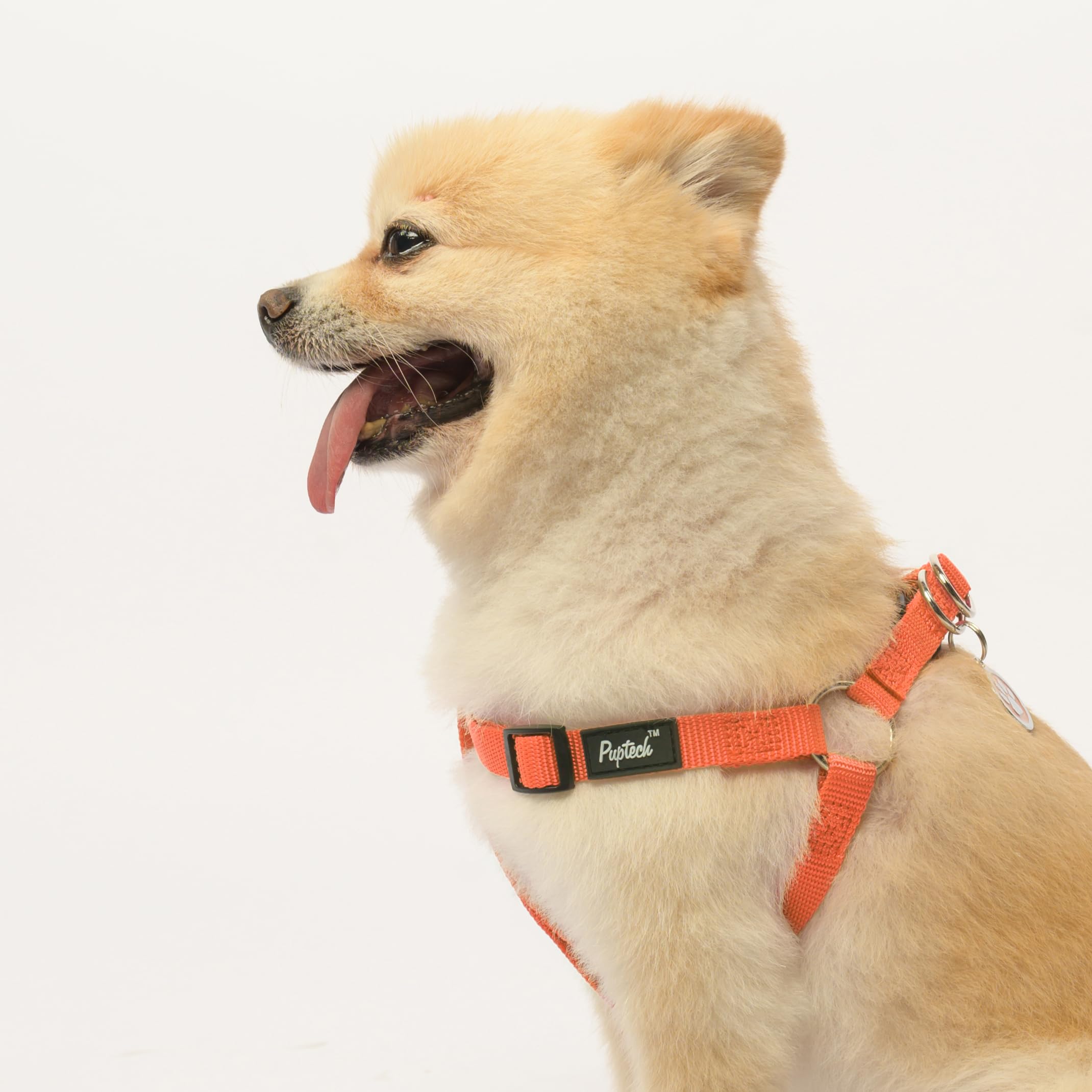 PUPTECK size guide for XS to L with adjustable straps.