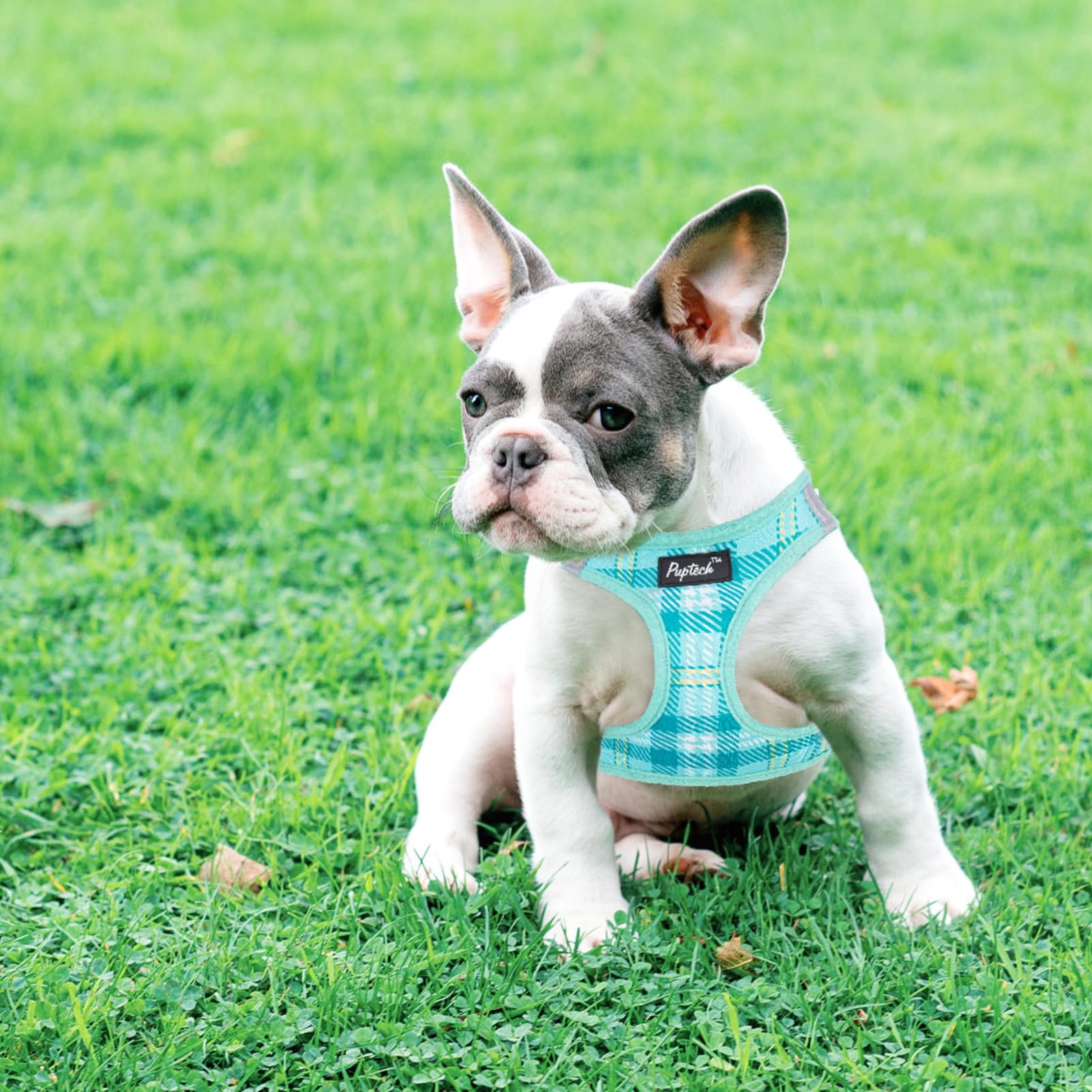 PUPTECK small-dog size guide helps accurate XS fit.