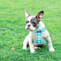 PUPTECK small-dog size guide helps accurate XS fit.