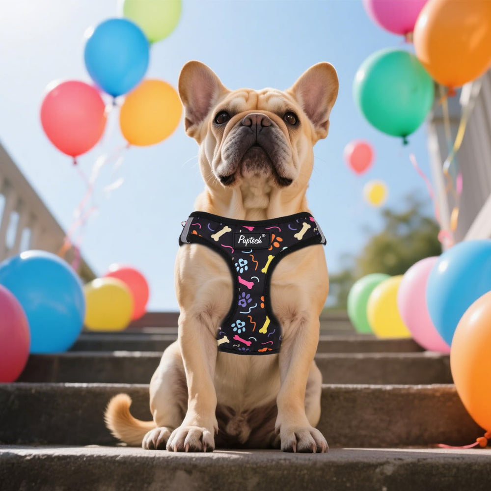 PUPTECK small-dog size guide helps find the right fit.