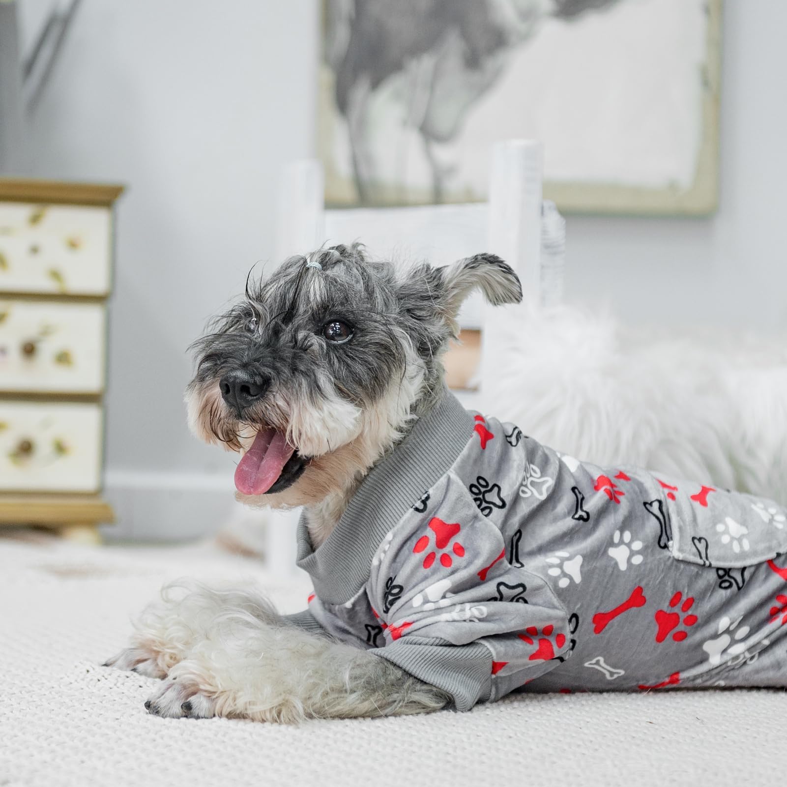PUPTECK warmth and cozy fleece suit chilly days indoors or outings.