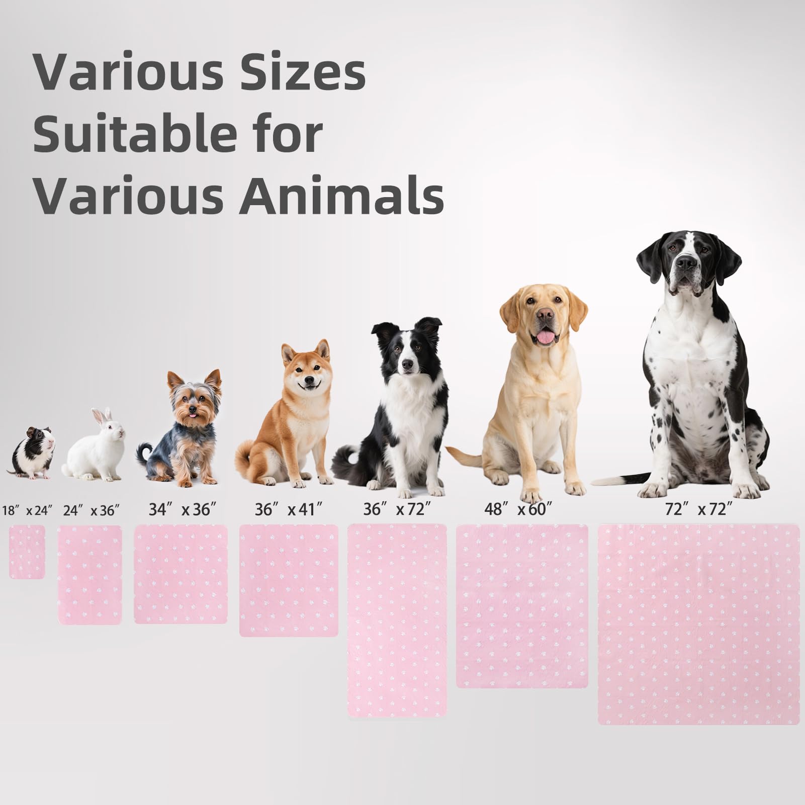 PUPTECK soft knitting top layer enhances pet comfort during use.