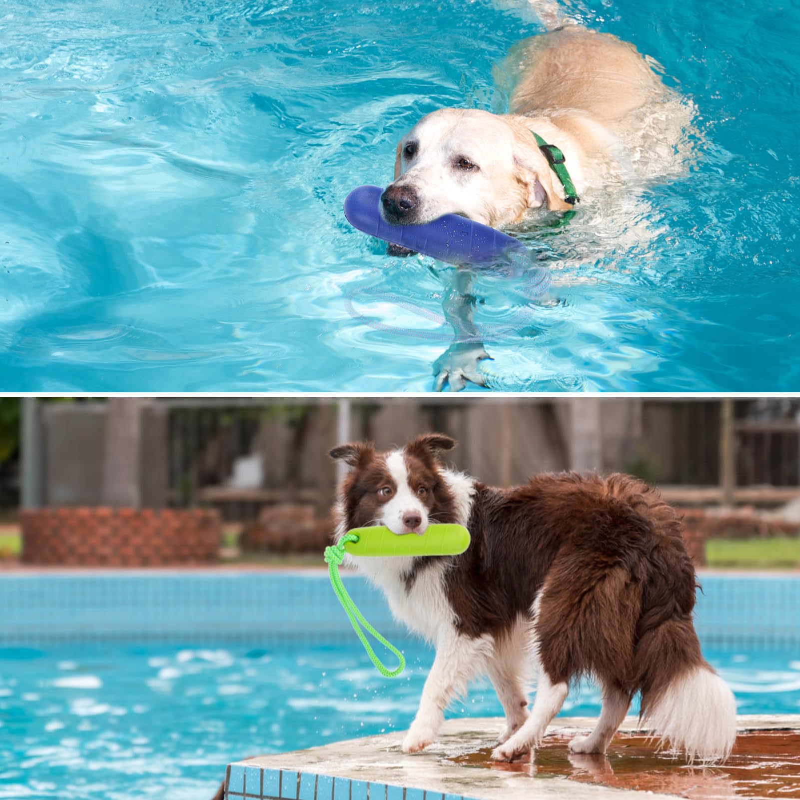 PUPTECK two-pack pool toys ensures variety for training sessions.