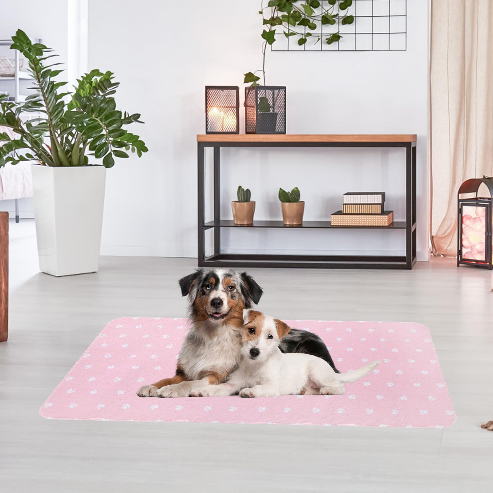 PUPTECK pack of 2 provides a spare for ongoing use