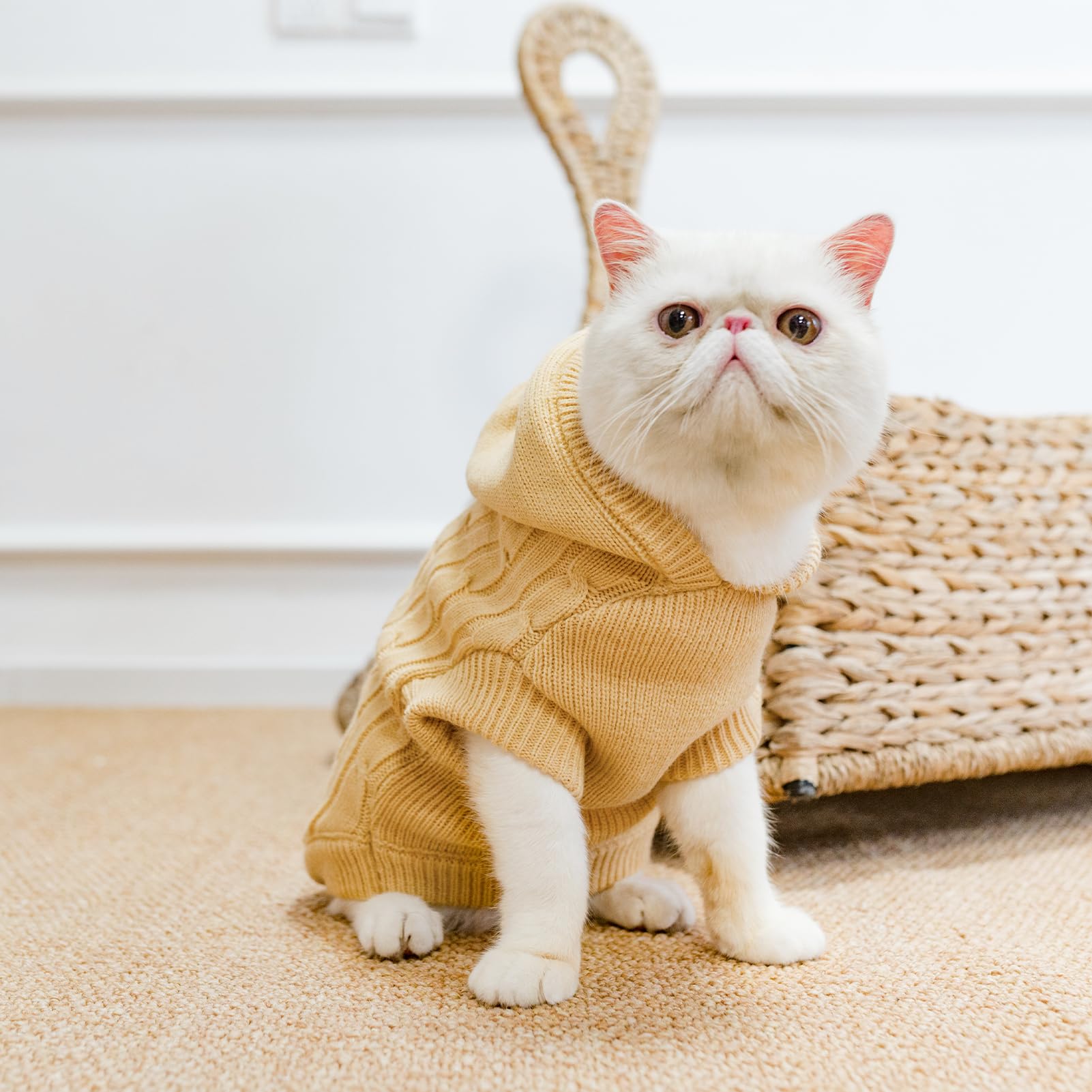 PUPTECK care instructions guide easy washing and quick drying.