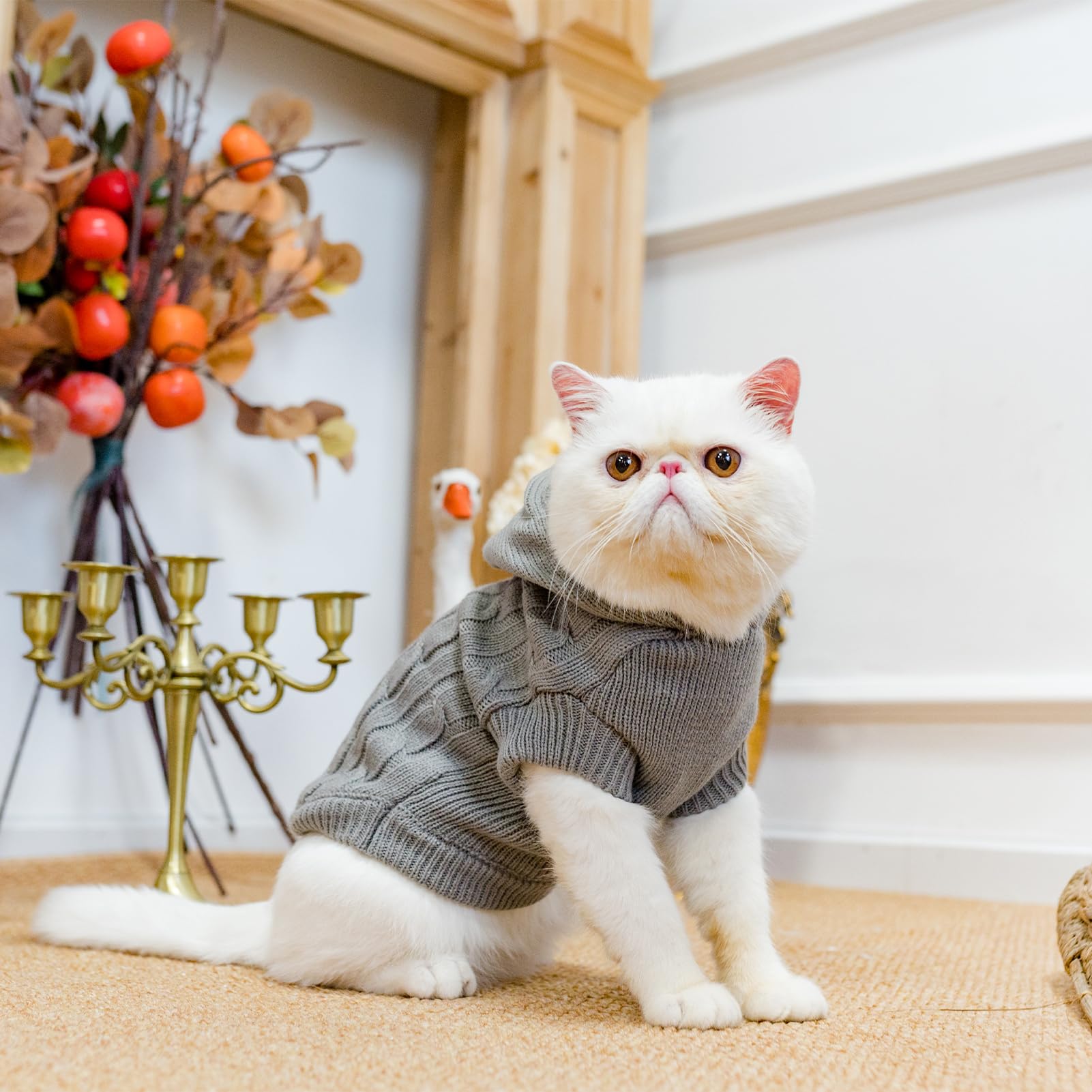 PUPTECK winter sweater care guide shows machine wash-friendly maintenance.